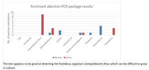 detecting the fastidious organism